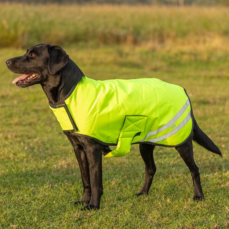 Benji &amp; Flo Reflector Waterproof Dog Coat by Hy Equestrian image 3